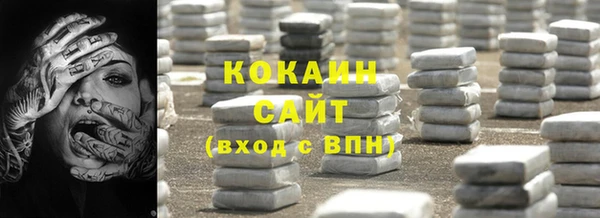 шишки Заволжье